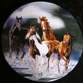 peinture de chevaux