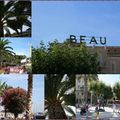Bandol : ses palmiers