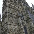Salisbury's Cathedral