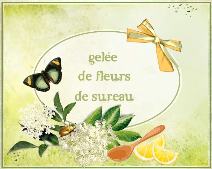 GeléeFleurs de sureau