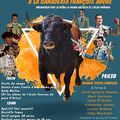 MAUSSANE LES ALPILLES : GRANDE FIESTA CAMPERA