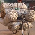 Commerce de braise à Mbuji-Mayi: les ONG redoutent la déforestation
