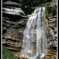 le grand saut du Hérisson