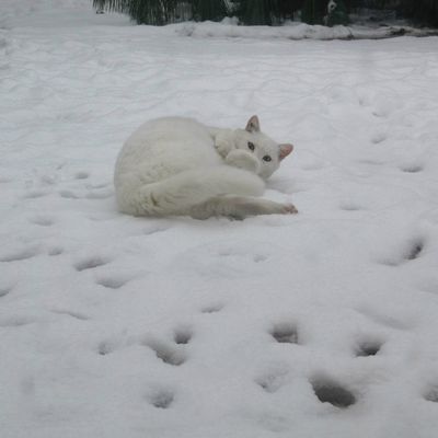 Il est juste là, à portée de main.