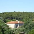 Un ancien moulin à vent à Congénies