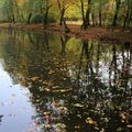 Belles lumières au parc de Moncel à Jarny ce matin