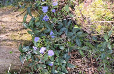 Paysages du haut clunisois, 19 mars 2016