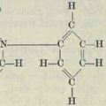 L'orexine, la molécule de la panique ?