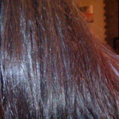 LOOKING FOR VIOLINE!!