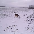 Lundi de Pâques sous la neige ! ! 