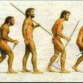 Theorie de l'Evolution, 2.0 ?