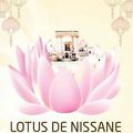 Sorties entre amis : rendez-vous au restaurant Lotus de Nissane