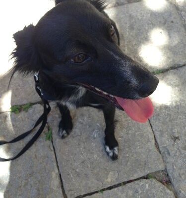 Découverte du village 