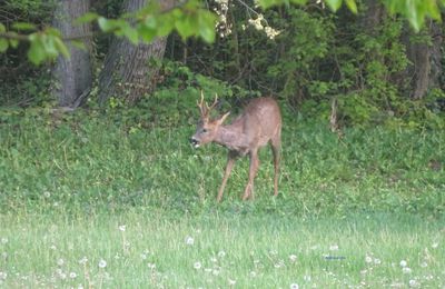 La rencontre du Jour !