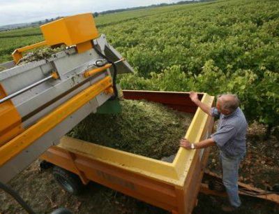 Mauvaise saison 2012 pour le Cognac