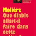Molière : Que diable allait-il faire dans cette galère de Sylvie Dodeller