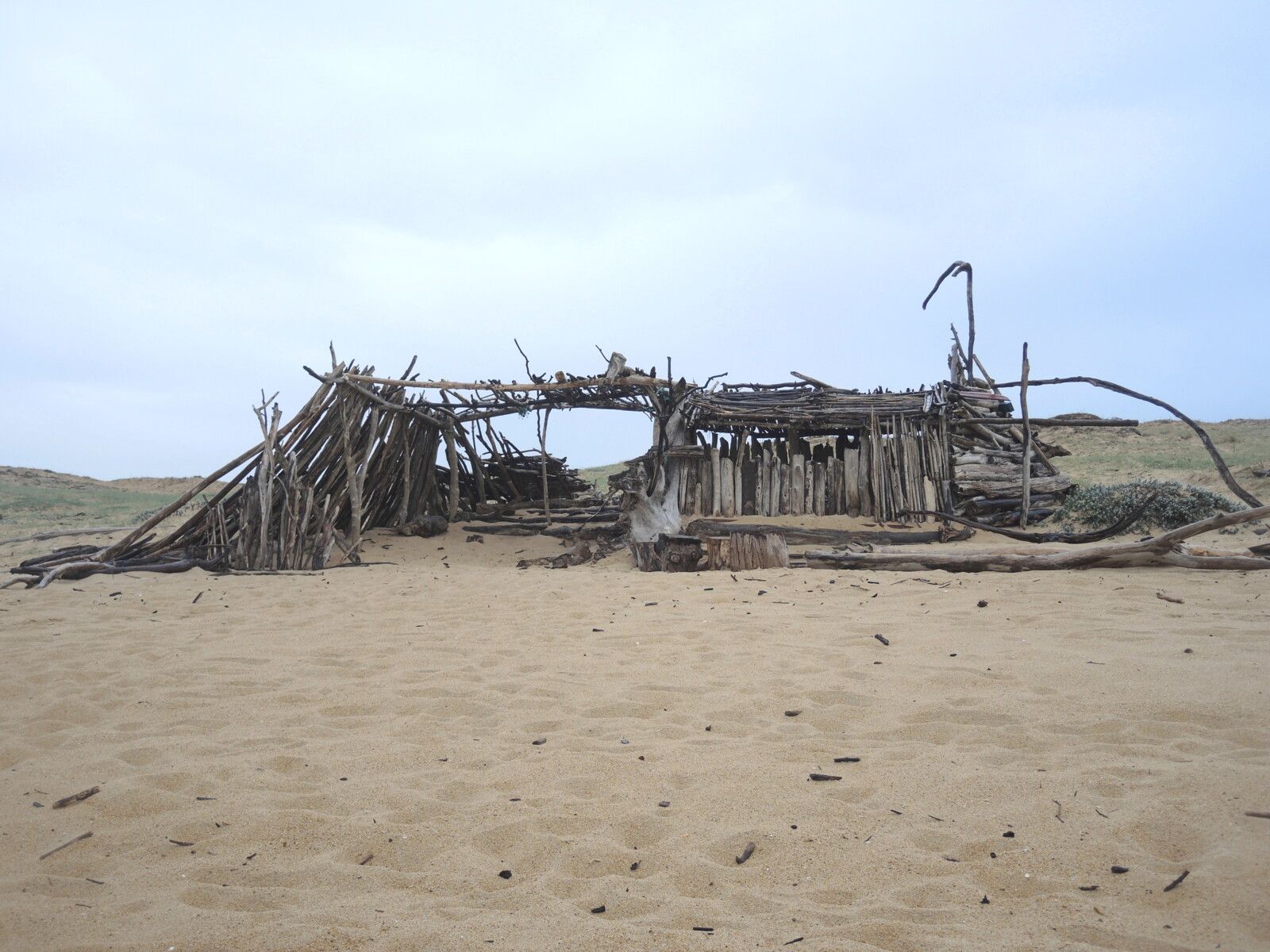 Tarnos, plage du métro, villa en bois flotté, mars 2025 (40)