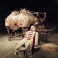 Le Bestiaire de La Licorne et ses animaux sauvages, exposition à Lille (59)
