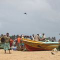 Sri Lanka - La vie autour de la mer