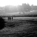 Hommes au galop, chevaux au repos