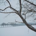 Janvier : le mois du blanc