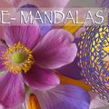 YOAME MANDALAS EVENT