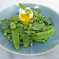 Salade de fèves et de pois au basilic