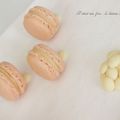 Macarons clémentine