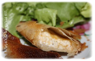 Samoussas ricotta cheddar (actifry ou airfryer )
