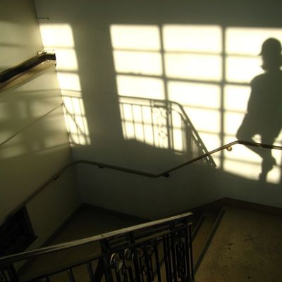 WHAT S GOING ON ON SITE