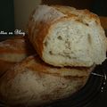 BAGUETTES AU LEVAIN SUR POOLISH