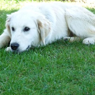 on est bien dans sa nouvelle maisooooon!