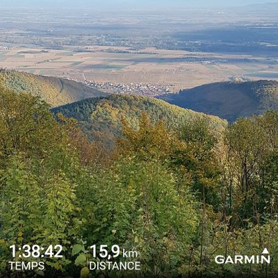 Me revoilà avec mes baskets !