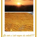 tricot de soleil