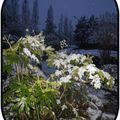 Les premiers flocons de l'année