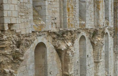 L'abbaye de Maillezais