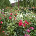 Fête des plantes et du cheval - Mézilles (Yonne) - 26 mai 2022 💐🐎