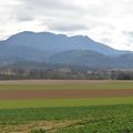 [Drôme] sur les traces du printemps dans la campagne chabeuilloise.. 