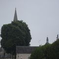Randonnée vers la forêt de Vendôme le 23 juillet 2024 (1)