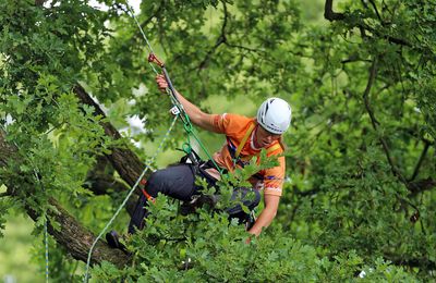 EUROPEAN TREE CLIMBING CHAMPIONSHIP 2017, DEVENTER, PARC DE WORP PLANTSOEN, PAYS-BAS, JOURNEE DU MASTER DU 25 JUIN 2017.