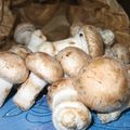 Emincé de poulet aux champignons