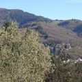 DU COL DU SCHIRM AU COL DU HUNDSRÜCK EN PASSANT PAR LE KOHLBERG