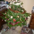 mon beau SApin.....