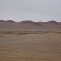 Paracas-Huacachina