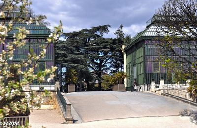 Les Grandes Serres du Jardin des Plantes de Paris