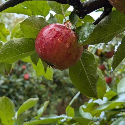 Week end du 12 et 13 Septembre