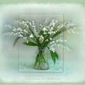 Muguet 