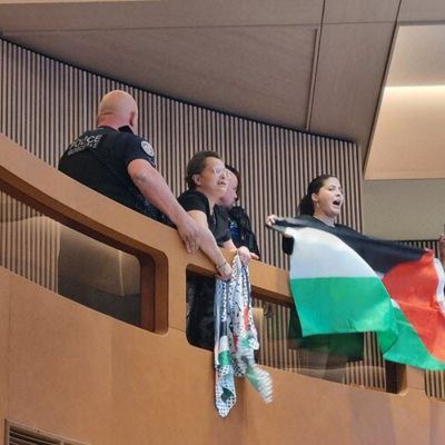 Conseil municipal de Strasbourg : la séance interrompue... par des manifestants pro-palestiniens