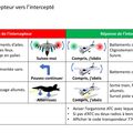 Les signaux d'interception en vol