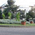 Rond-point à Le Chesnay